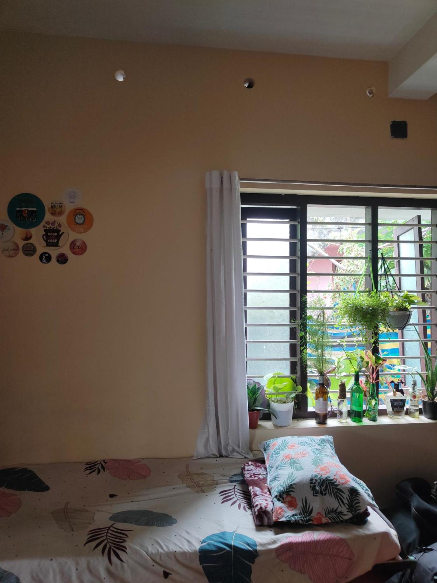 Jeehaa Homestay Alappuzha Экстерьер фото