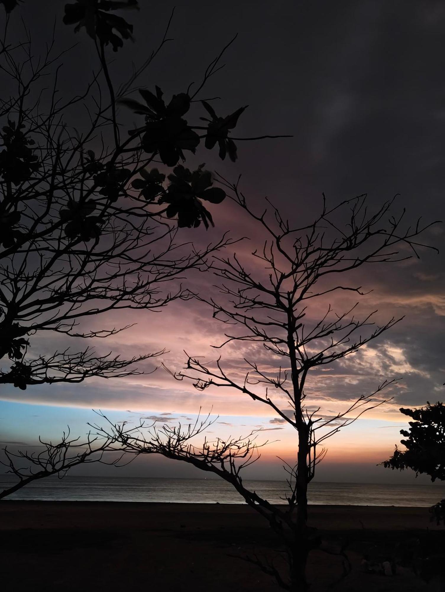 Jeehaa Homestay Alappuzha Экстерьер фото